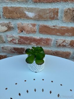 Dekorácie - Depot, IKEA - 7