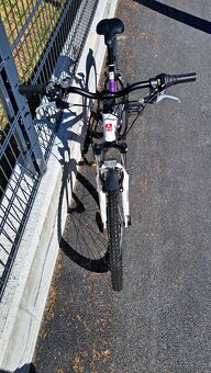 CTM TERRANO - 7