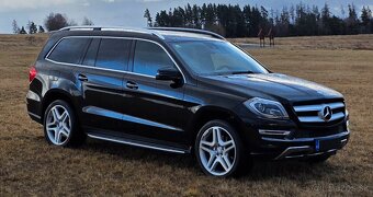 Mercedes GL350 - 7