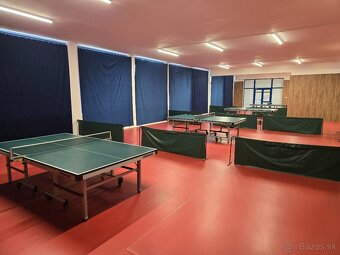 Stolný tenis - 7