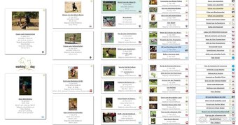 Belgický ovčiak malinois - 7