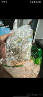 Klietka pre hlodavce - 7