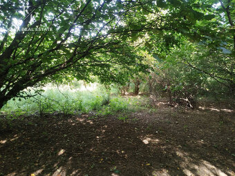 Pozemok na predaj, plocha 4607 m², Veľký Šariš - 7