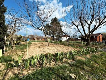 Predaj pozemok (záhrada) 358m2 Nitra – Chrenová - 7