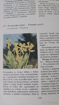 Prírodná lekáreň - 7