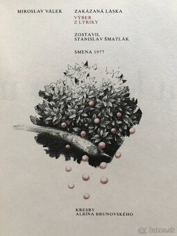 Válek, Štrpka, Ginsberg, Poe, Hemingway, Groch, Krasko - 7