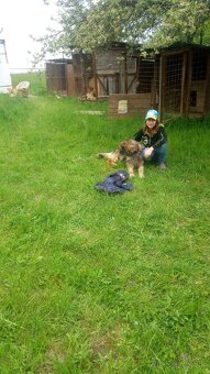 Hľadáme dobrovoľníkov - 7