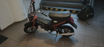 Babetta Stella 134 - 7