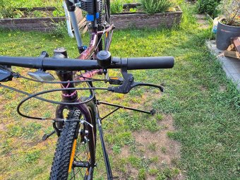 Detsky bicykel Amulet Tomcat 24 - 7