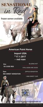 SLEVA, All around klisna APH (VS CodeRed) - 7