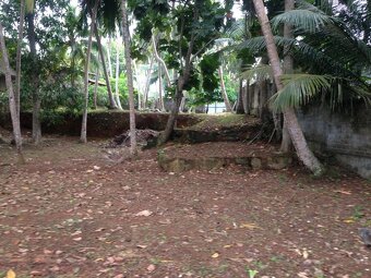 pozemok na Sri lanke - 7