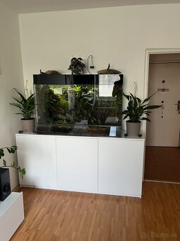 Terarium - 7