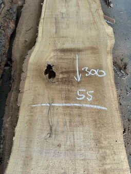 dubové fošne, dub letný, dub - 7