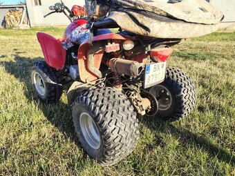 Kymco kxr250 - 7