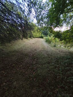 Čistenie a mulčovanie pozemkov, odstraňovanie náletov - 7