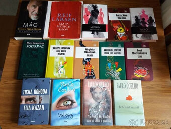 BAGSHAWE,McGOWAN,ZUSAK,ZAFON,HILL,COOPER ,GROOM,BAZAL - 7