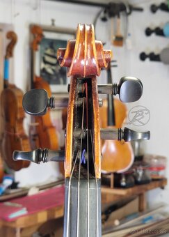 ✴️Viola 38,5 cm✴️ - 7