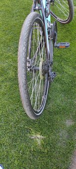 Damsky bicykel CTM MAXIMA 2.0 - 7
