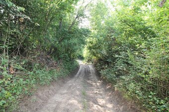 Rekreačný pozemok /1472 m2/, Hlboké nad Váhom - 7