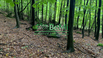 Slnečné pozemky 11434 m2, Michalková - 7