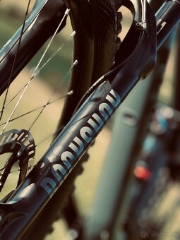 Trek Remedy custom - 7