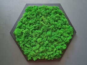 Machový obraz hexagón - 7