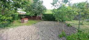 EXKLUZÍVNY PREDAJ-Záhrada s drevenou chatkou v Komárne - 7