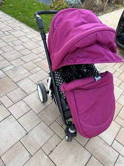 Sportovy kocik teutonia - 7