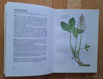 Maly atlas liecivych rastlin - 7