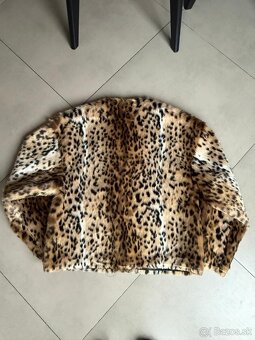 Zara kozuch c. M - 7