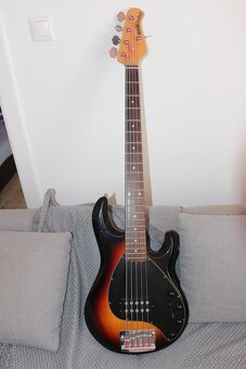 predam music mann stingray 5 - 7