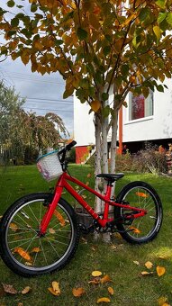 Specialized Jett 20 - 7