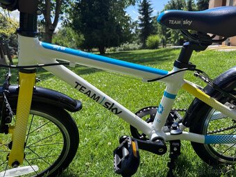 Frog TEAM sky 48 - 7