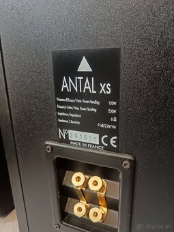 Triangle Antal XS Stereo reproductory - 7