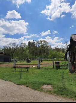 Ponúkame Ustajnenie - 7