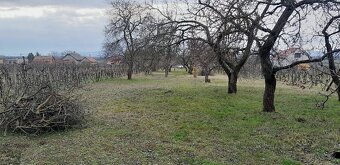 Predám pozemok s unimobunkou a vínnou pivnicou - 7
