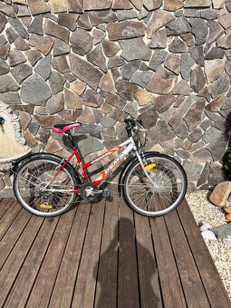 Dámsky bicykel - 7