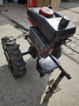 Tera VARI - 7