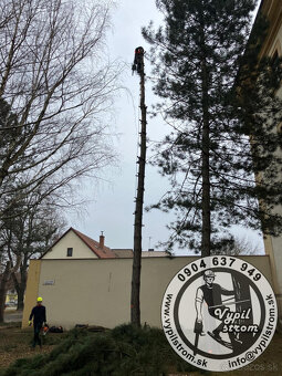 Pilenie a orezavanie stromov, kosenie a udrzba zahrad - 7