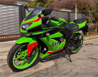 Kawasaki Ninja zx250r 2010 - 7