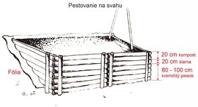 Svetelný koreň - semiačka, jednoročky, čerstvý, prášok - 7