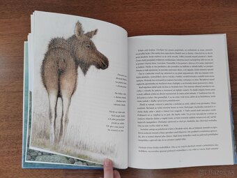 Oto a tajomné vianočné svetlo - NOVÁ - 7