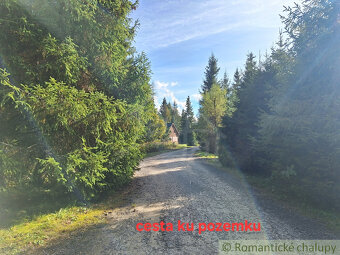 Slnečný rekreačný pozemok v lese pod Vysokými Tatrami v lo - 7