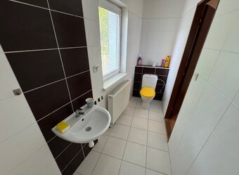 Dom v centre Piešťan - vnútorný krb, terasa, dvor - 7