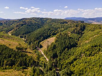 HOSPODÁRSKY LES V OBCI BUDIŠ V OKRESE TURČIANSKE TEPLICE - 7