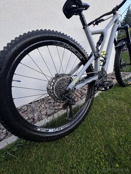 Specialized Stumpjumper Comp 2019 - 7