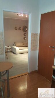 Predaj veľký 1 izbový byt - 7