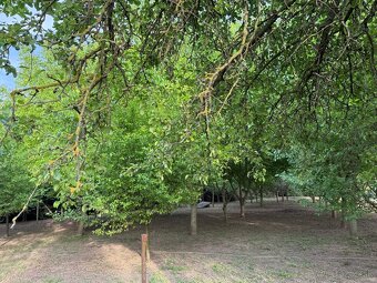 Stavebný pozemok - 7