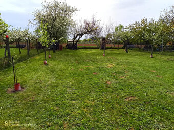 zahrada - 7