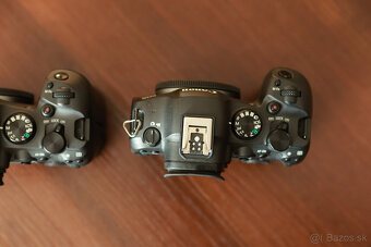 Canon EOS R6 Mark II - 7